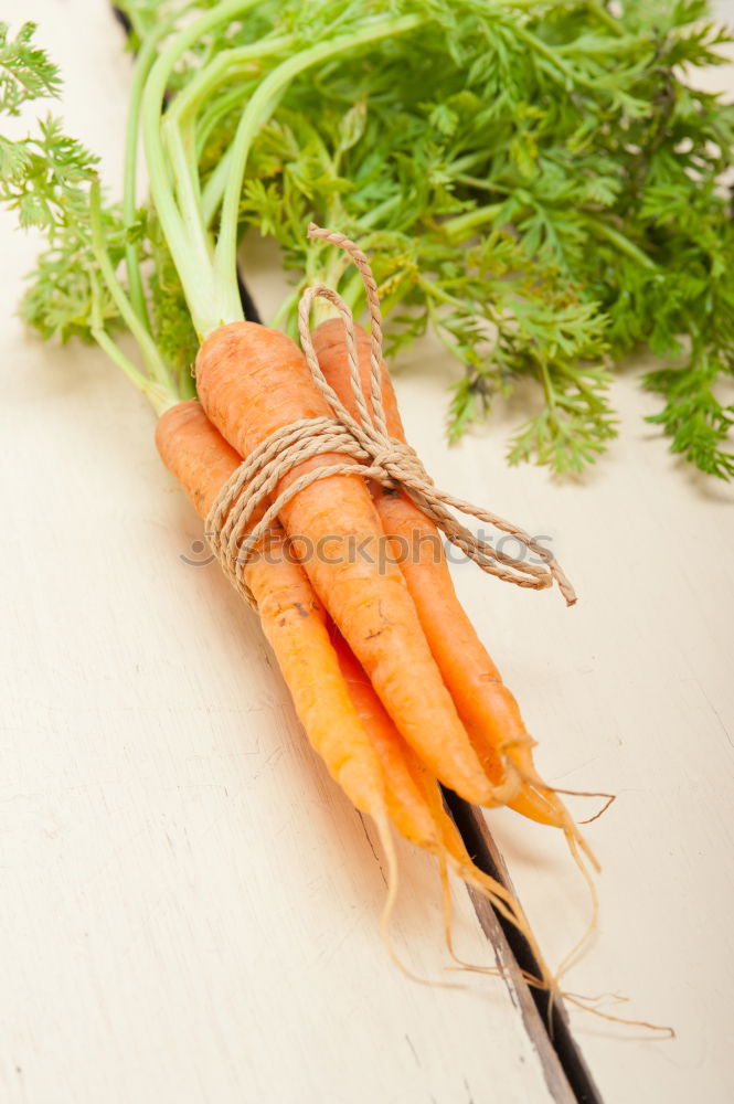 Similar – love of carrots Carrot 2