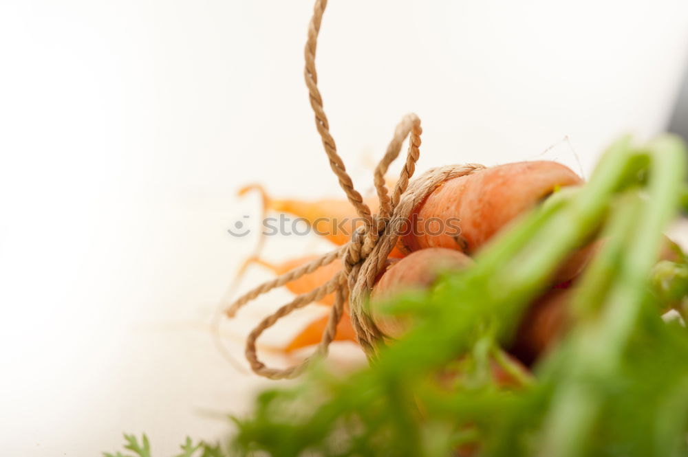 Similar – Image, Stock Photo vitamin A Food Vegetable