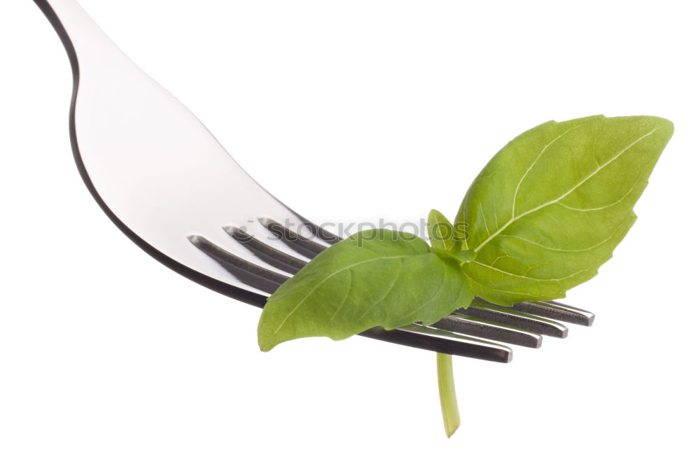 Similar – Image, Stock Photo Spinach, oil and grater with nutmeg