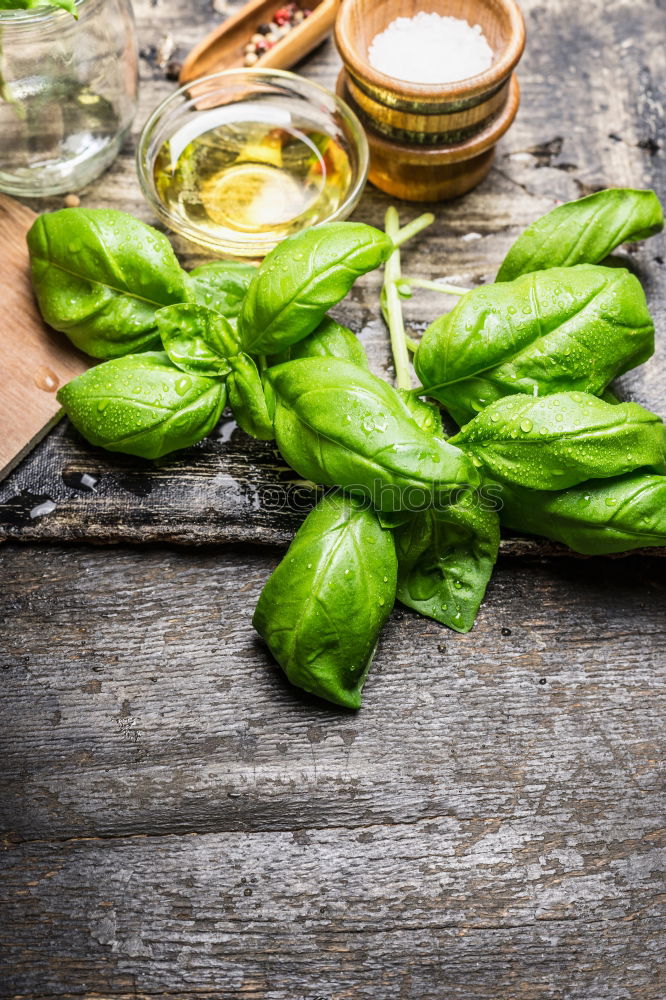 Similar – Image, Stock Photo Preparing fresh spinach for cooking