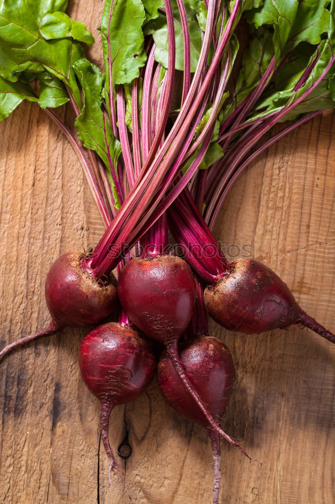 Similar – Image, Stock Photo Fresh beetroot in different varieties on an old wooden table