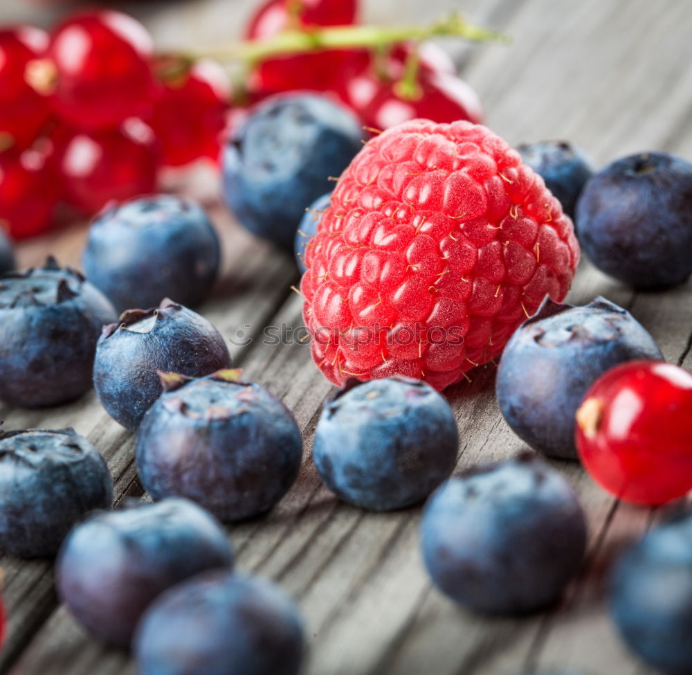 Similar – berry Food Fruit Nutrition