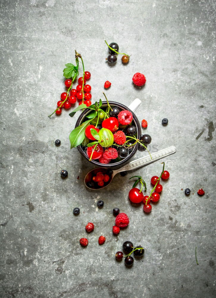 Similar – Image, Stock Photo Fresh currants in a cup