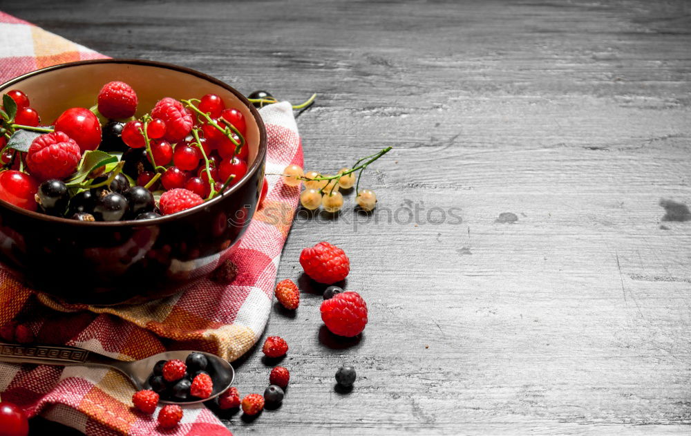 Similar – Image, Stock Photo Mulled wine cup and spices on rustic background