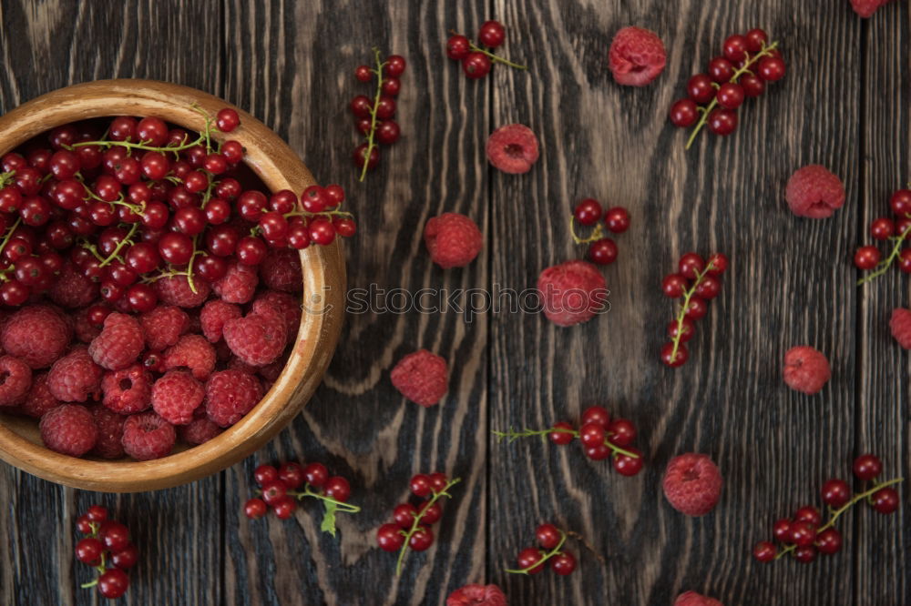 Similar – Cranberries in a bowl