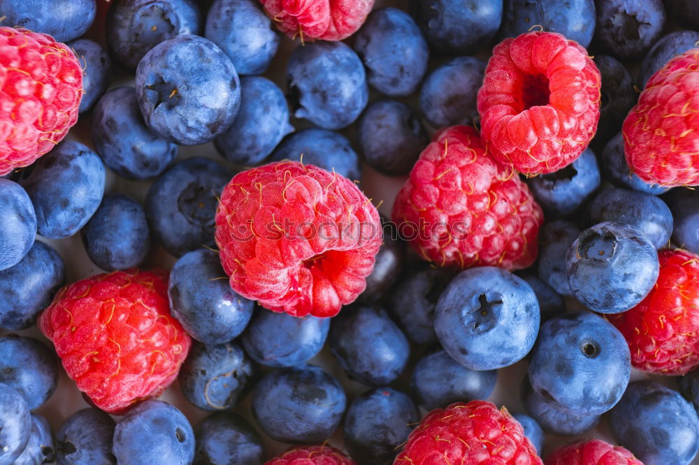 Similar – berry Food Fruit Nutrition