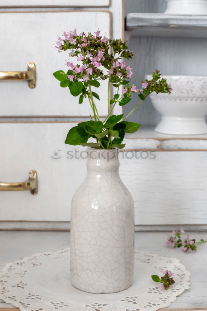 Similar – Image, Stock Photo Lilac from grandpa’s garden