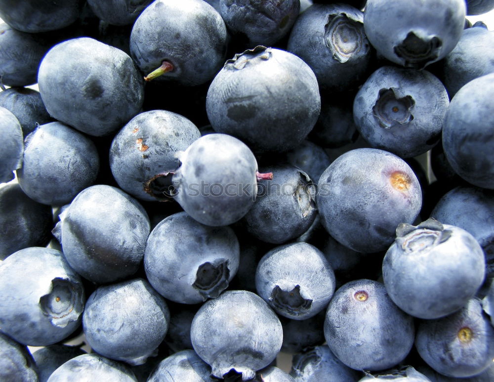 Similar – Foto Bild Weinlese. Lebensmittel