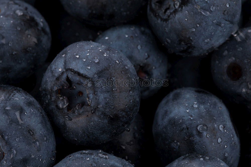 Similar – Image, Stock Photo Damask plums Food Fruit