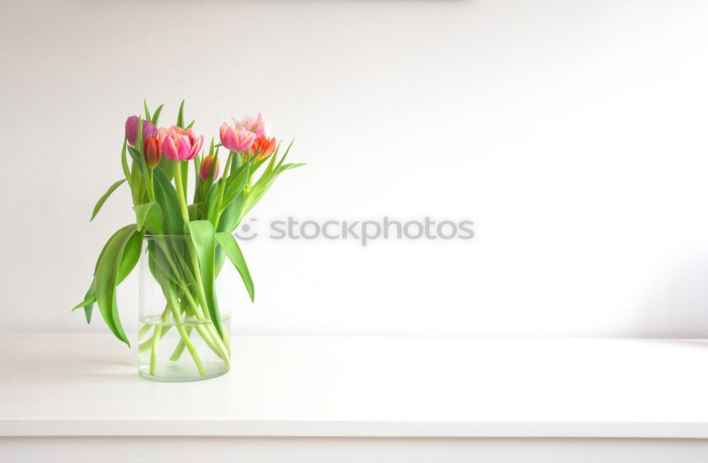 Vase with tulips on white table