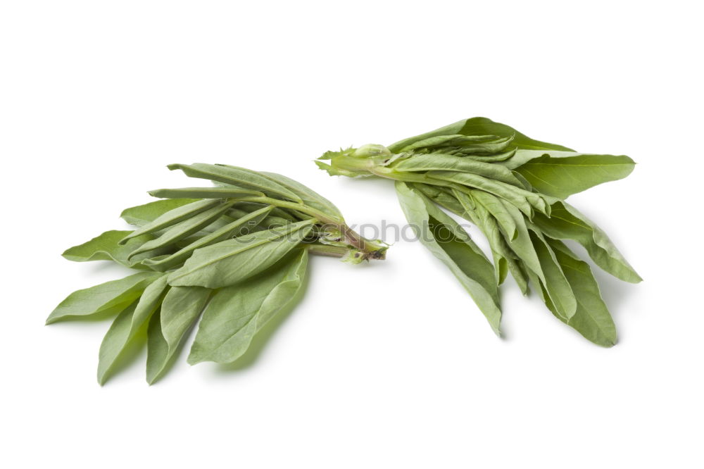 Image, Stock Photo A portion of green asparagus, freshly harvested from the local field, decorated with a plaid ribbon of cloth, tied together, lies in the light on the table, on a white cloth of linen.