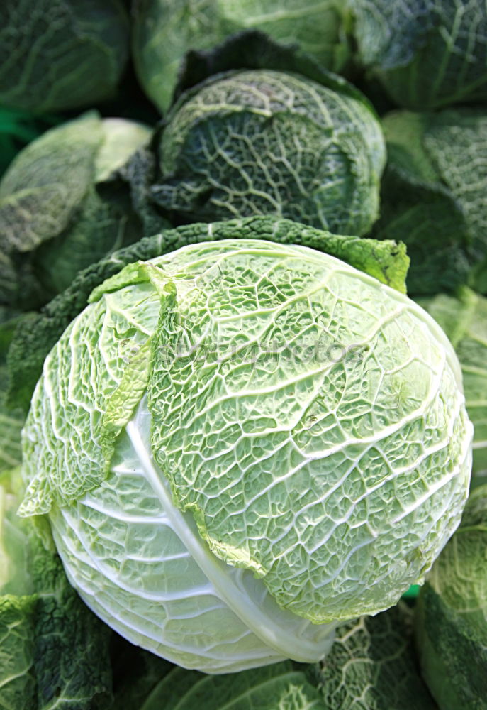 Similar – Image, Stock Photo savoy cabbage Food