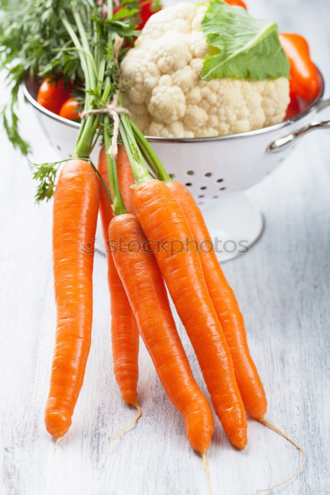 Similar – Image, Stock Photo Pumpkin soup puree