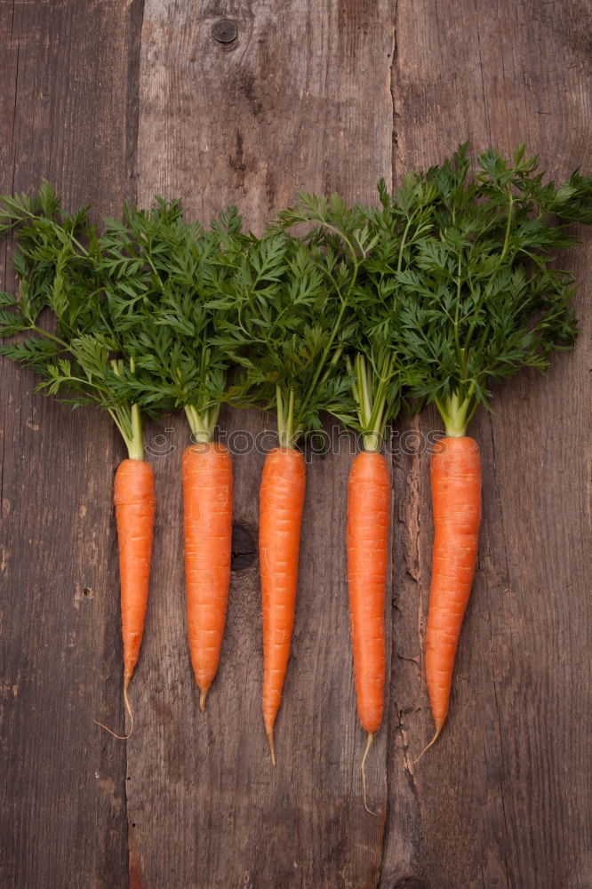 Similar – Image, Stock Photo Carrot-love Food Vegetable