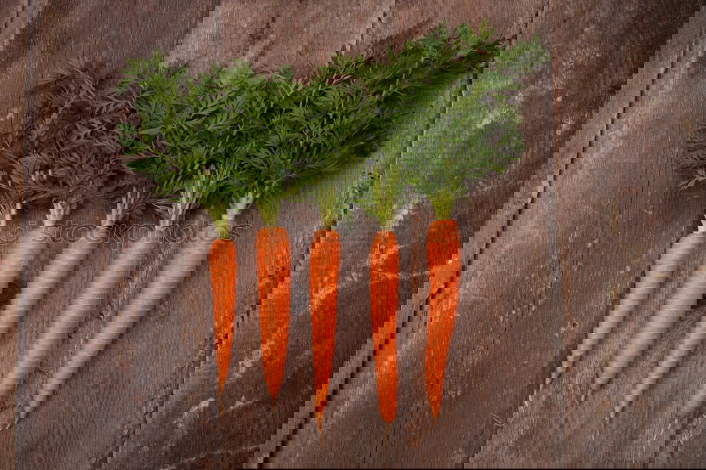 Similar – Image, Stock Photo Carrot-love Food Vegetable
