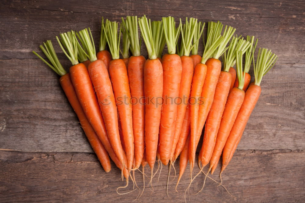 Similar – Carrots on a jute sack