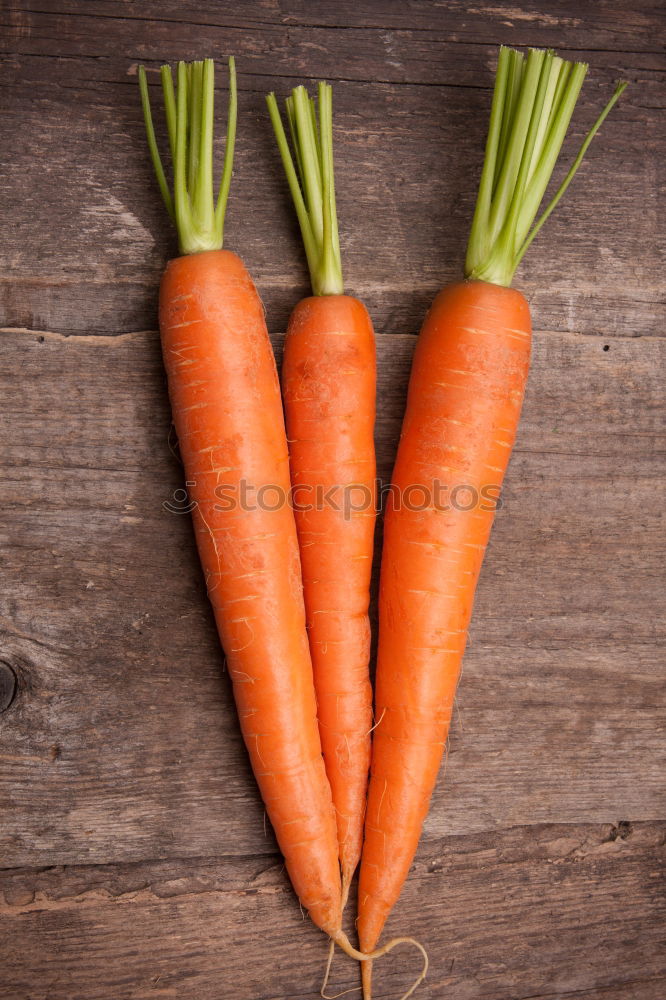 Carrots on a jute sack