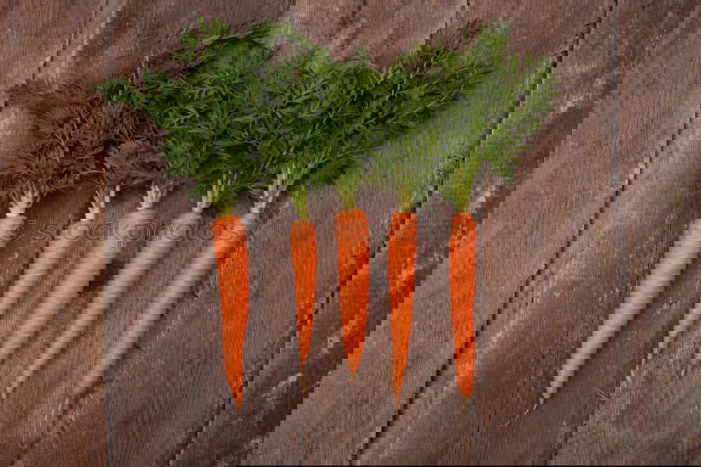 Similar – Image, Stock Photo Carrot-love Food Vegetable