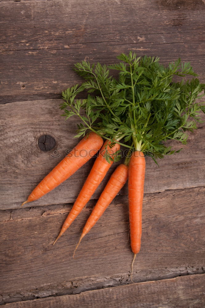 Similar – Image, Stock Photo Carrot-love Food Vegetable