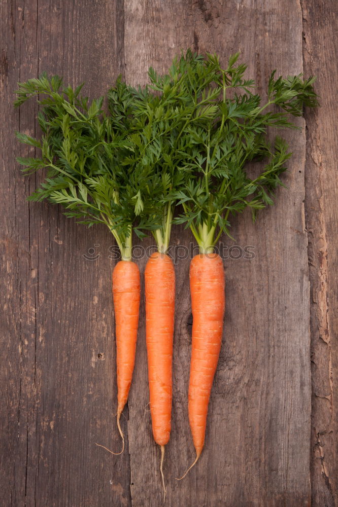 Similar – Image, Stock Photo Carrot-love Food Vegetable