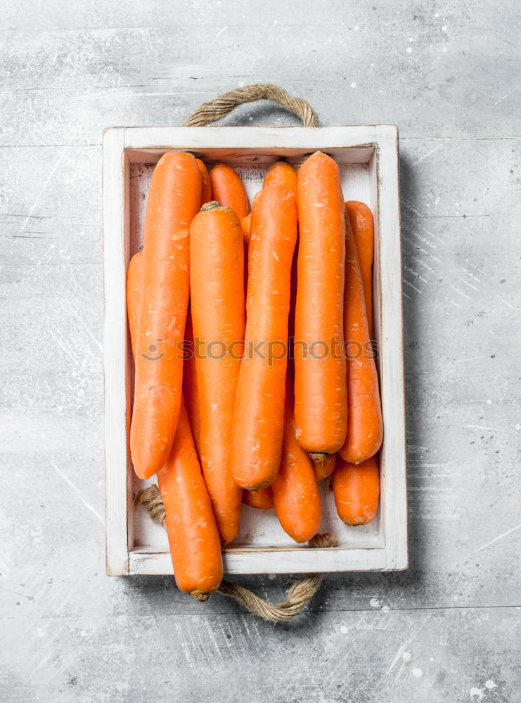 Similar – female human hand holding three large orange carrot