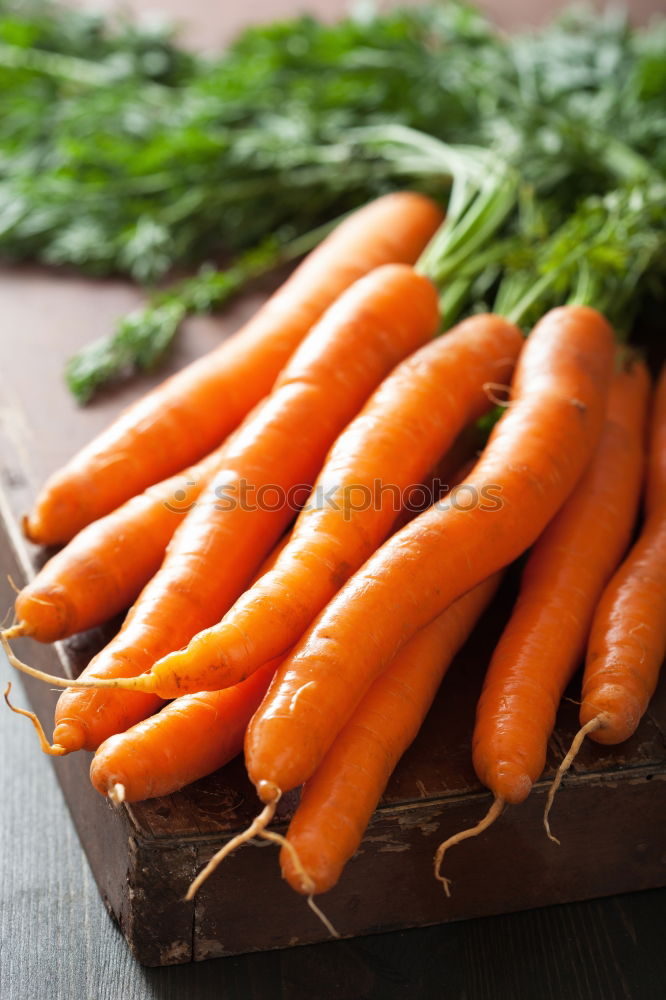 Similar – Two large ripe carrots lie in female hands