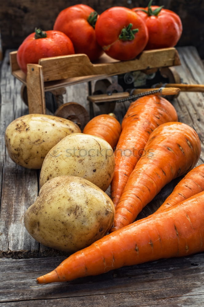 Similar – Two large ripe carrots lie in female hands