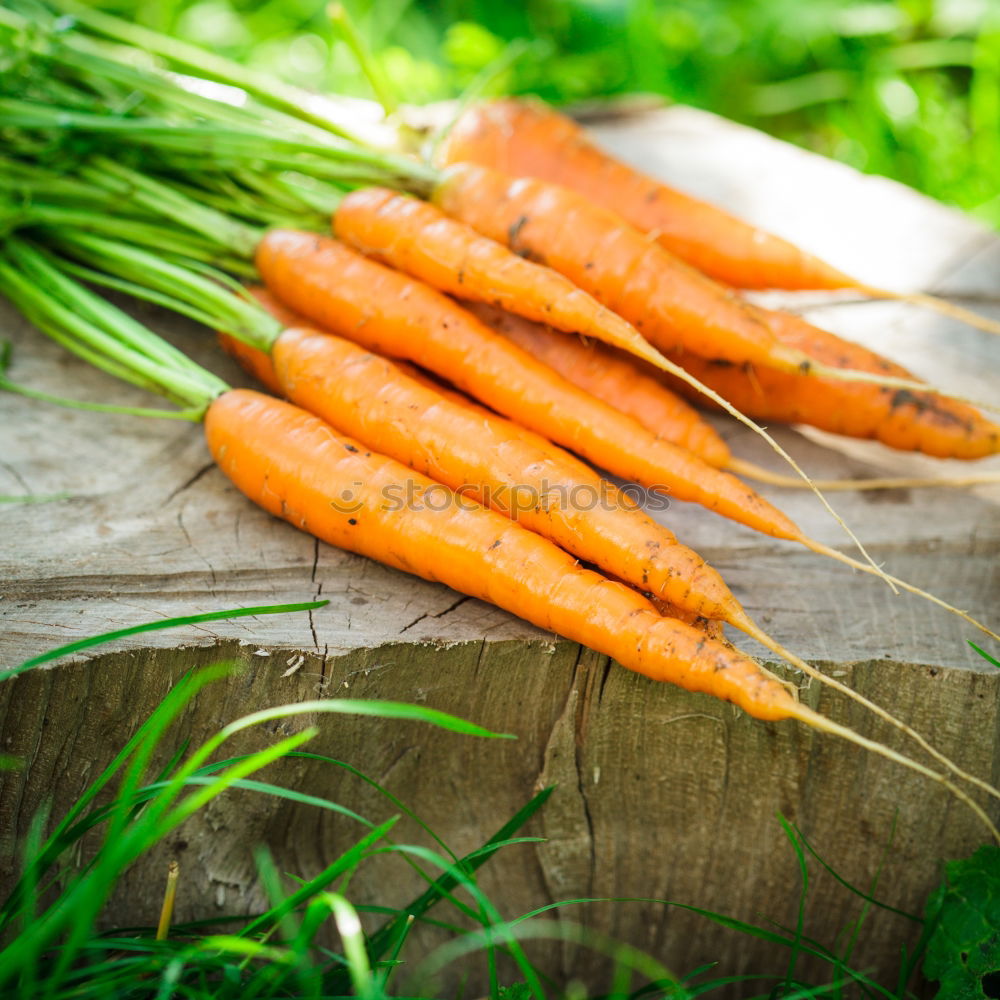 Similar – Image, Stock Photo Carrots Vegetable