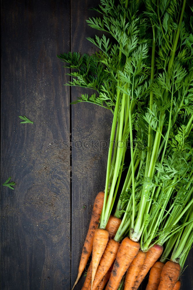 Similar – Image, Stock Photo Gray wooden background with raw vegetables and spices