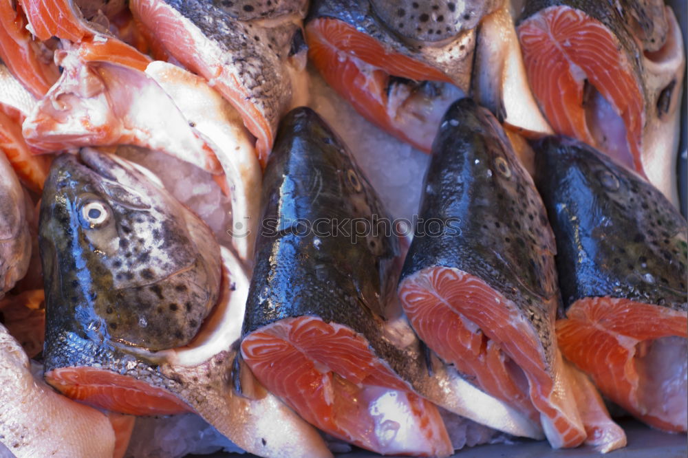 Similar – Image, Stock Photo mackerels Fish Nutrition