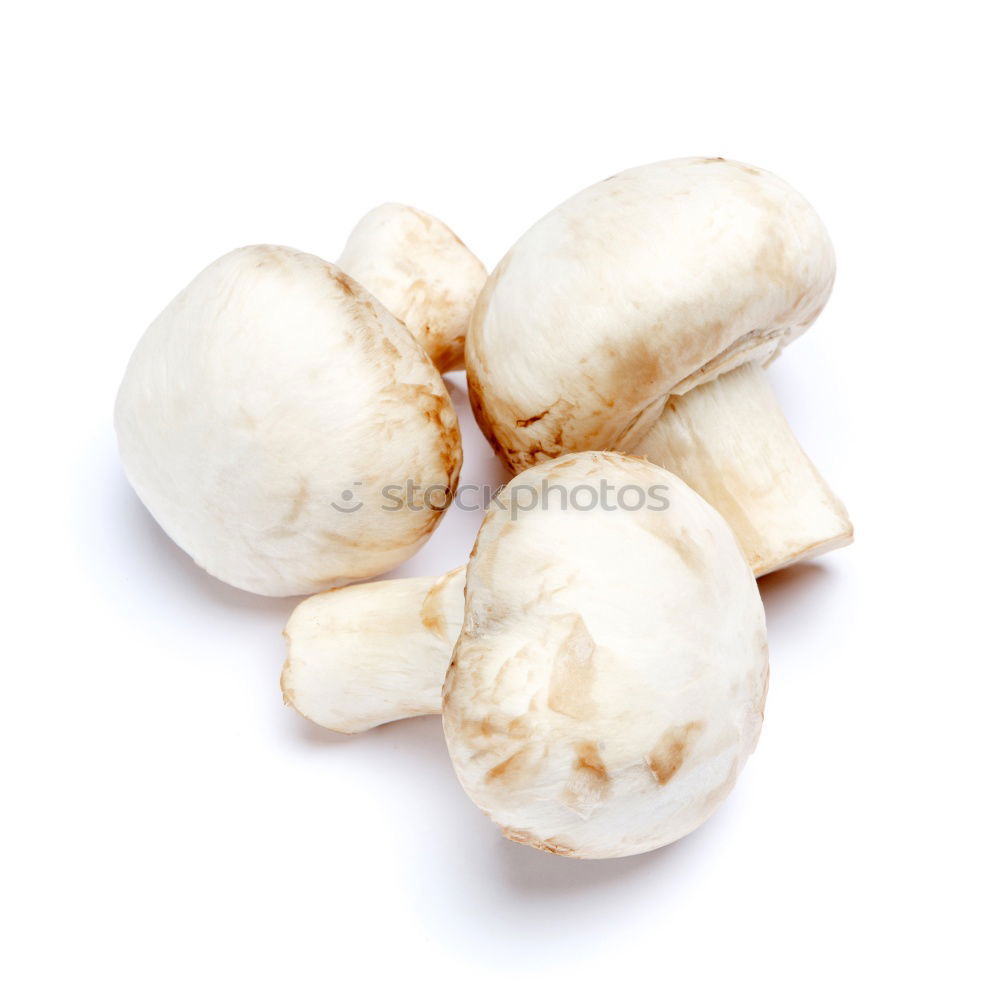 Similar – Image, Stock Photo Champignon Mushrooms on an old wooden table