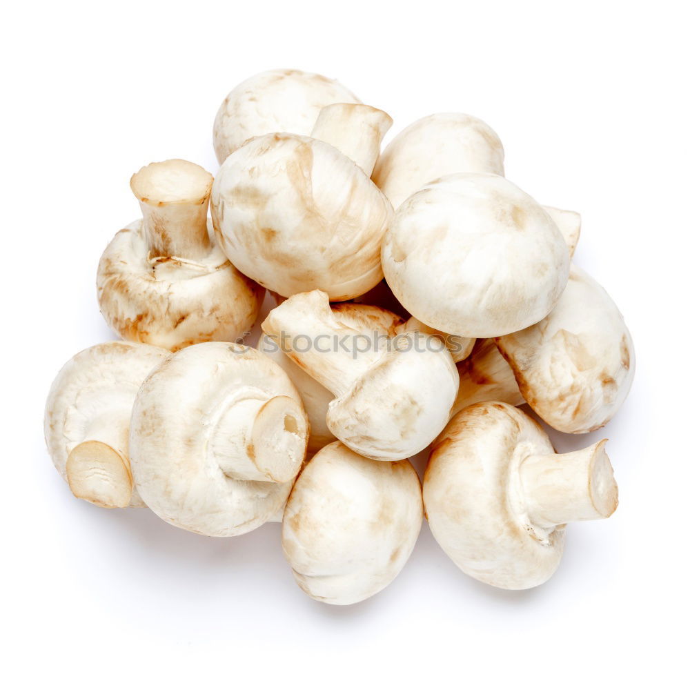 Similar – Image, Stock Photo Champignon Mushrooms on an old wooden table