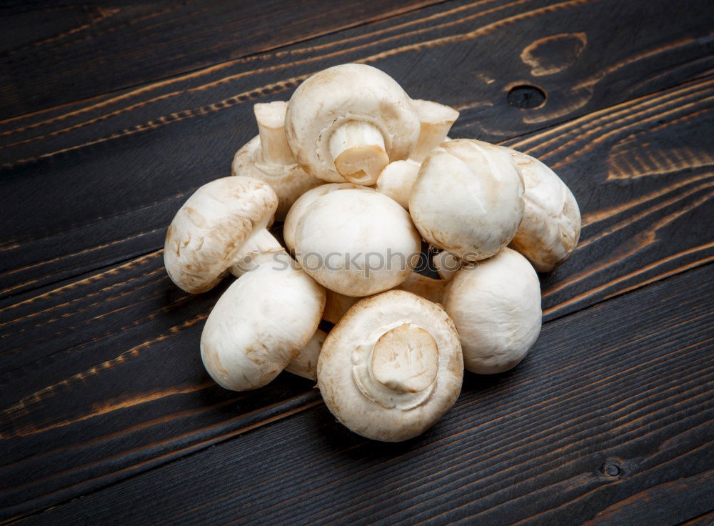 Similar – Image, Stock Photo mushroom loon Food