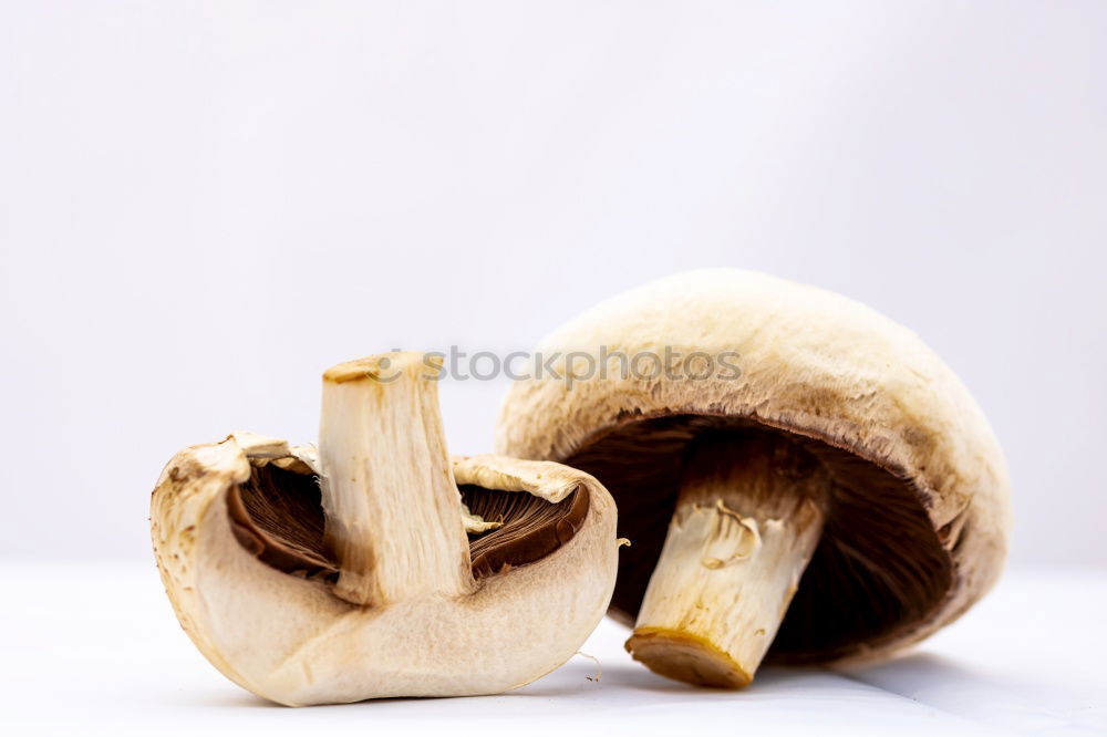 Similar – Foto Bild Pilz-Geschnipseltes