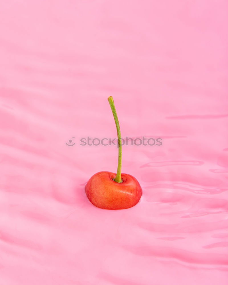 Similar – Image, Stock Photo persimmon Fruit Kaki