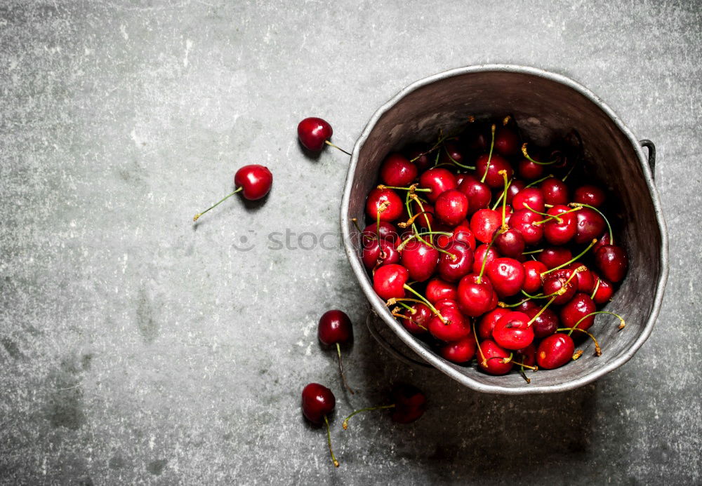 Similar – Cranberries in a bowl