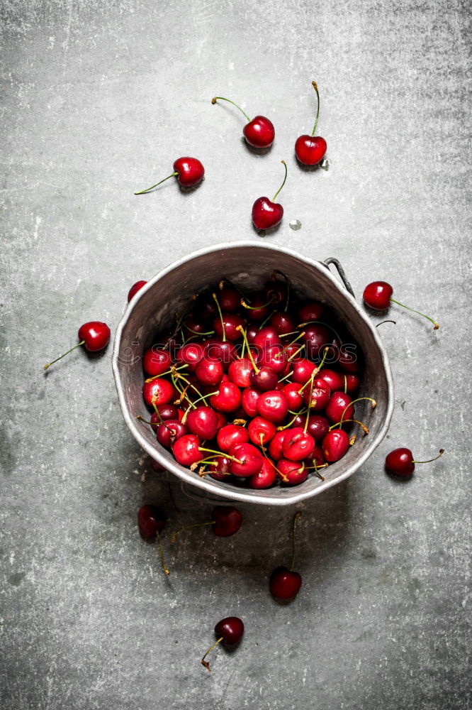 Similar – Cranberries in a bowl