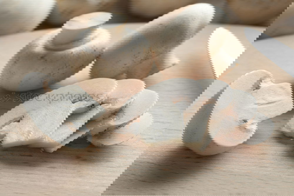 Similar – Foto Bild Pilz-Geschnipseltes