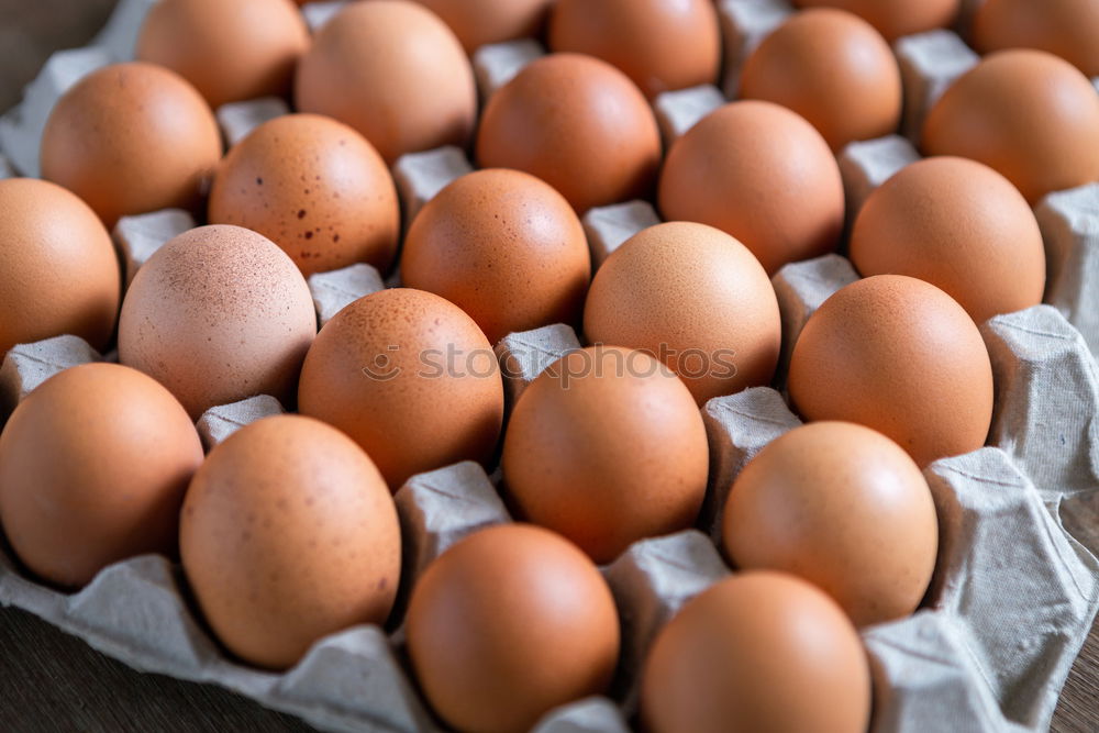 Similar – eggs Food Egg Eggshell