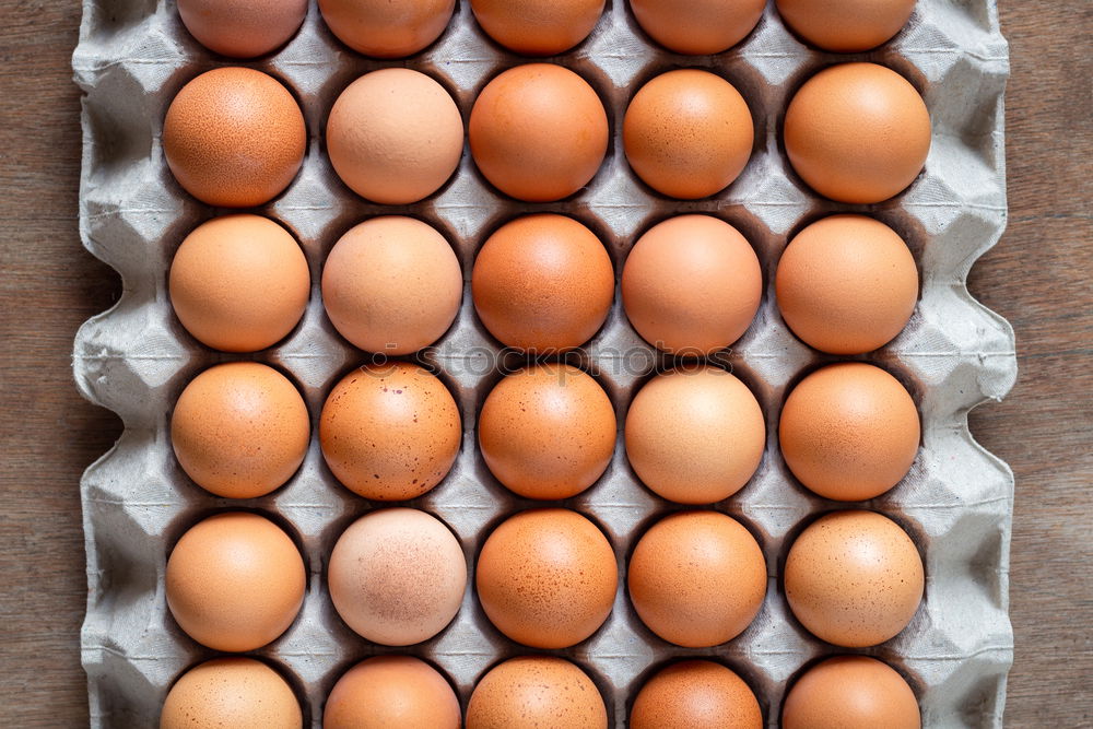 Similar – eggs Food Egg Eggshell