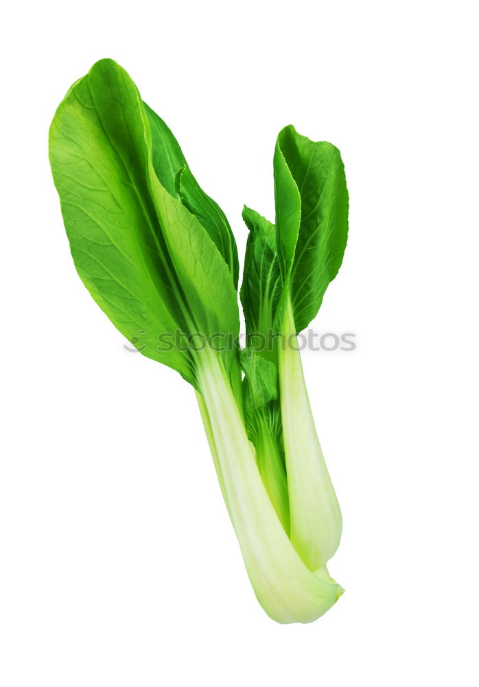 Similar – Baby Pak Choi cabbage on white wooden table