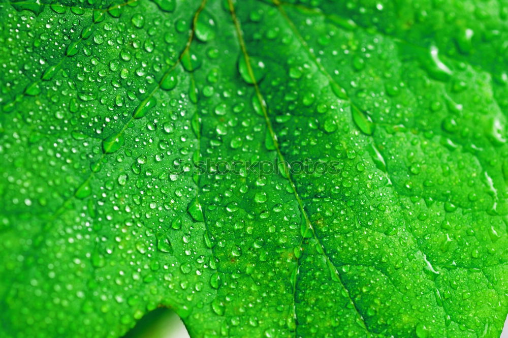 Similar – Water drop in the nature