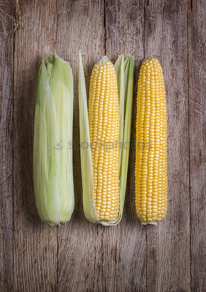 Similar – Cobs of Sweet Corn