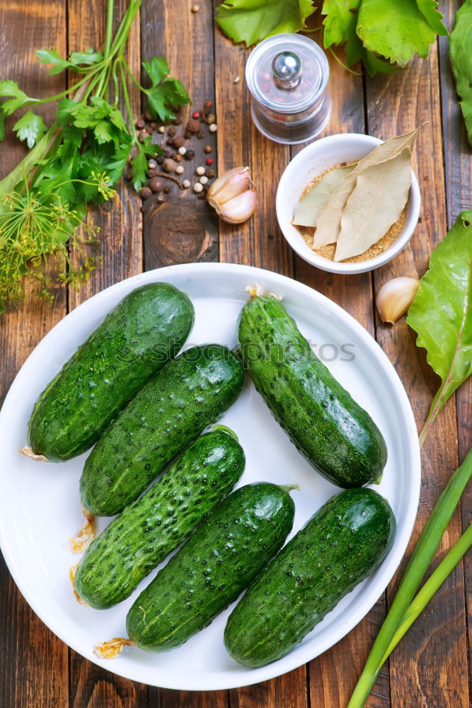 Similar – Image, Stock Photo Preparing ingredients for pickling cucumbers