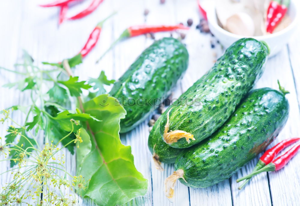 Similar – Pickling cucumbers with home garden vegetables and herbs