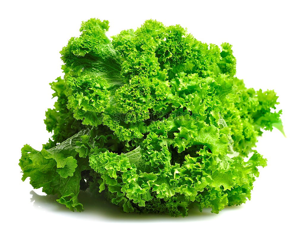 Similar – Image, Stock Photo parsley Parsley