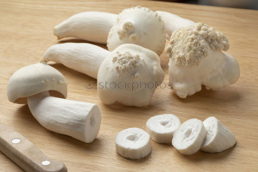 Similar – Foto Bild Pilz-Geschnipseltes