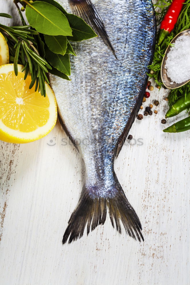 Similar – Image, Stock Photo Raw salmon fish in ice and vegetables