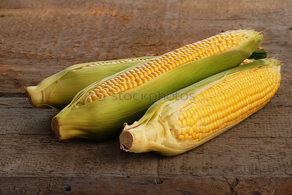 Similar – Cobs of Sweet Corn