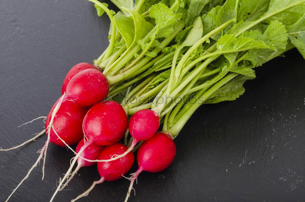 Similar – Image, Stock Photo Radish on dark background